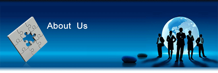 Website Design